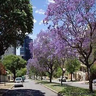 Mountway Holiday Apartments Perth